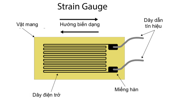 Nguyên lý hoạt động của Strain gauge (Cảm biến căng dây)
Nguồn: Internet
